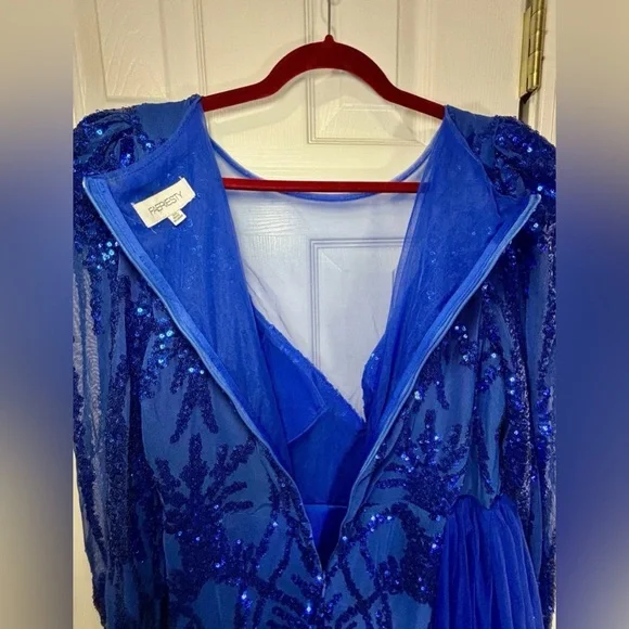 NWOT FAERIESTY SZ 3XL (18) ROYAL BLUE Elegant Sequined Gown With Sheer Overlay - Picture 5 of 10